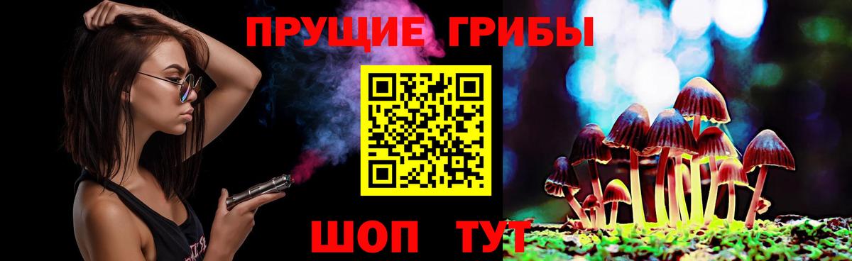 Троицк  Галлюциногенные грибы Psilocybine cubensis  Вход с VPN  как найти наркотики  Псилоцибиновые грибы прущие грибы 